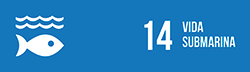 ODS 14